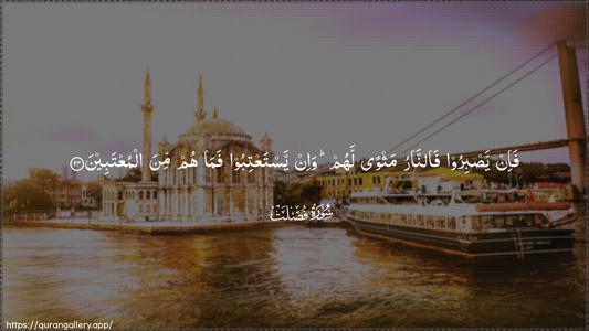 Fussilat Ayah 24 - Arabic (Wide) wallpaper