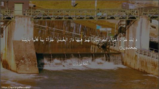 Fussilat Ayah 28 - Arabic (Wide) wallpaper