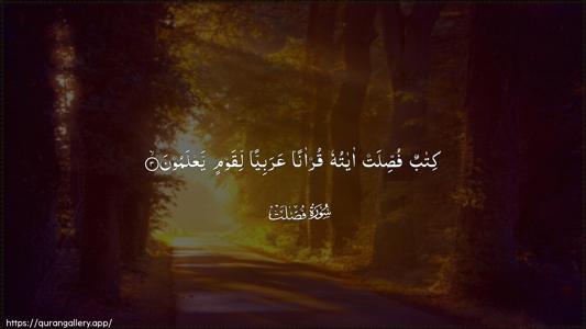 Fussilat Ayah 3 - Arabic (Wide) wallpaper