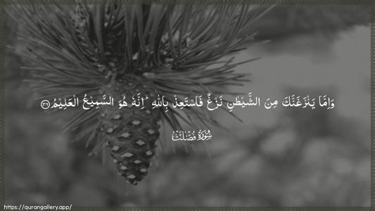 Fussilat Ayah 36 - Arabic (Wide) wallpaper
