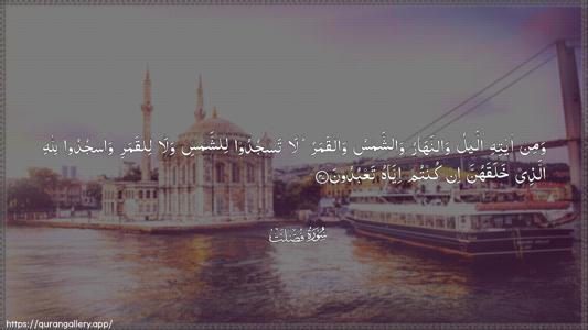 Fussilat Ayah 37 - Arabic (Wide) wallpaper