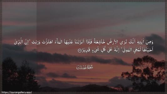 Fussilat Ayah 39 - Arabic (Wide) wallpaper