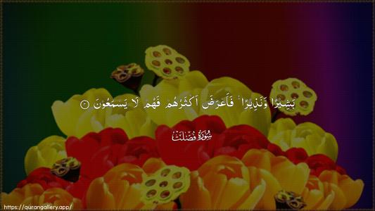 Fussilat Ayah 4 - Arabic (Wide) wallpaper