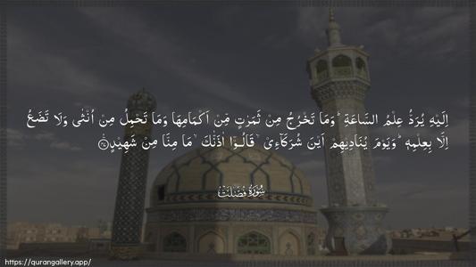 Fussilat Ayah 47 - Arabic (Wide) wallpaper