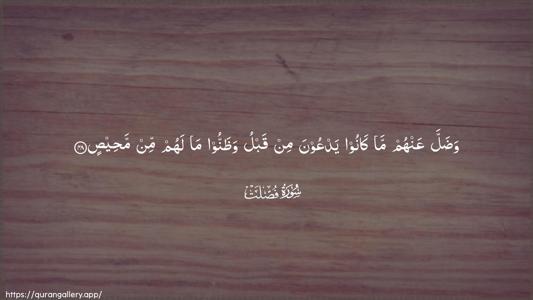Fussilat Ayah 48 - Arabic (Wide) wallpaper