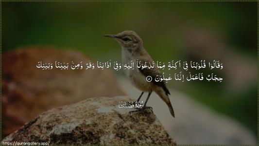 Fussilat Ayah 5 - Arabic (Wide) wallpaper