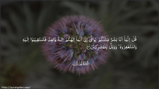 Fussilat Ayah 6 - Arabic (Wide) wallpaper