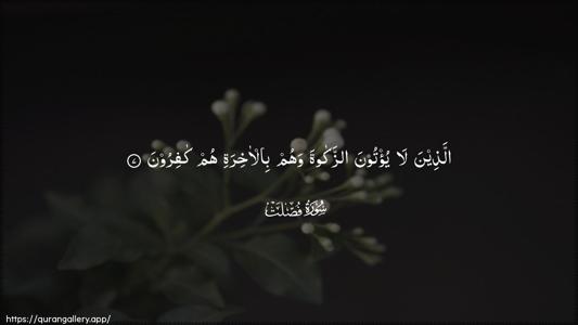 Fussilat Ayah 7 - Arabic (Wide) wallpaper