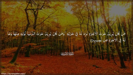 Ash-Shura Ayah 20 - Arabic (Wide) wallpaper