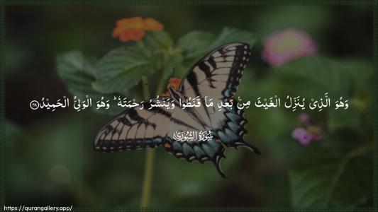 Ash-Shura Ayah 28 - Arabic (Wide) wallpaper
