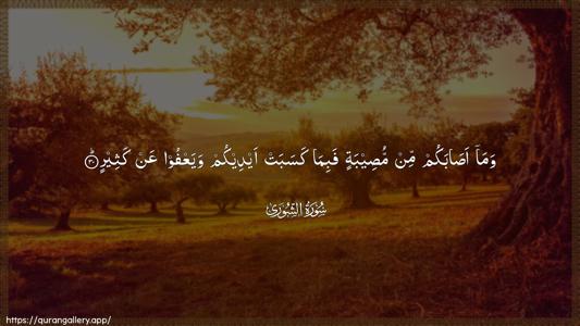 Ash-Shura Ayah 30 - Arabic (Wide) wallpaper