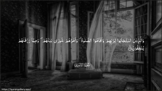 Ash-Shura Ayah 38 - Arabic (Wide) wallpaper