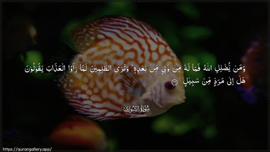 Ash-Shura Ayah 44 - Arabic (Wide) wallpaper
