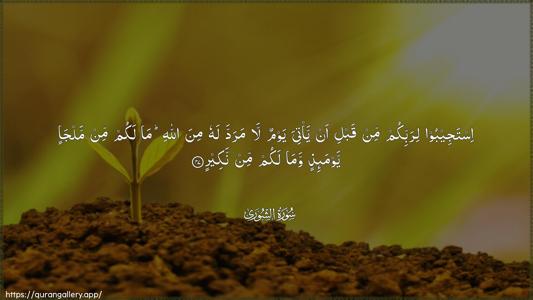 Ash-Shura Ayah 47 - Arabic (Wide) wallpaper