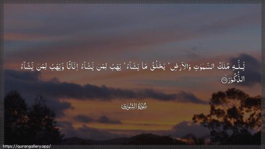 Ash-Shura Ayah 49 - Arabic (Wide) wallpaper