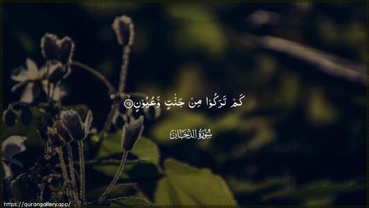 Ad-Dukhaan Ayah 25 - Arabic (Wide) wallpaper