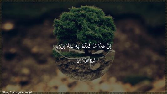 Ad-Dukhaan Ayah 50 - Arabic (Wide) wallpaper