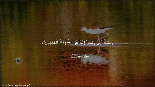 Ad-Dukhaan Ayah 6 - Arabic (Wide) wallpaper