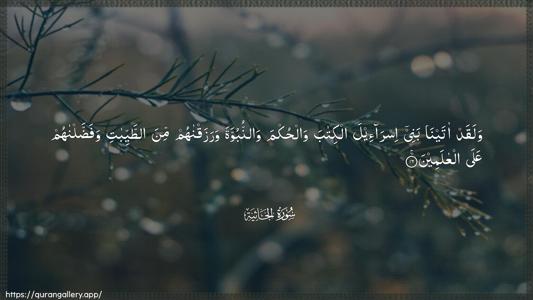 Al-Jaathiya Ayah 16 - Arabic (Wide) wallpaper