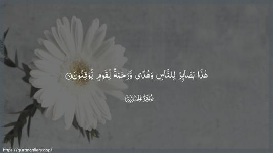 Al-Jaathiya Ayah 20 - Arabic (Wide) wallpaper