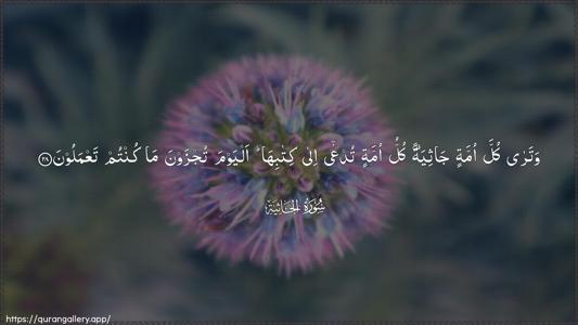 Al-Jaathiya Ayah 28 - Arabic (Wide) wallpaper