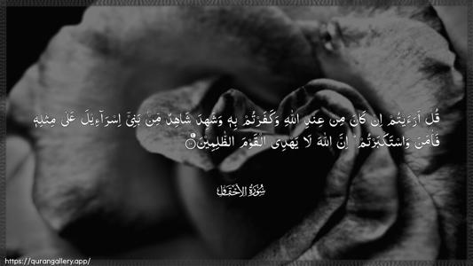 Al-Ahqaf Ayah 10 - Arabic (Wide) wallpaper