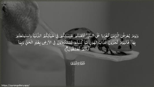 Al-Ahqaf Ayah 20 - Arabic (Wide) wallpaper