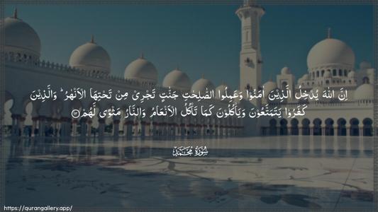 Muhammad Ayah 12 - Arabic (Wide) wallpaper