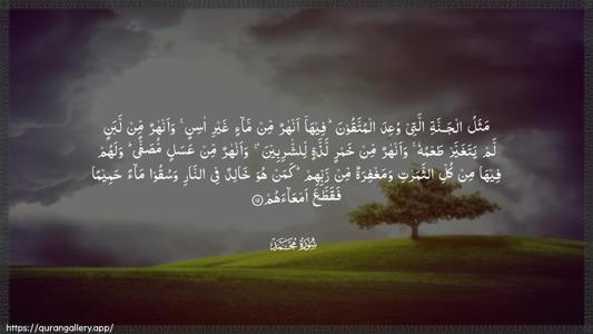 Muhammad Ayah 15 - Arabic (Wide) wallpaper