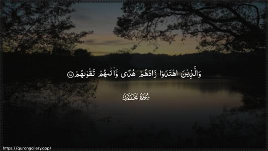 Muhammad Ayah 17 - Arabic (Wide) wallpaper