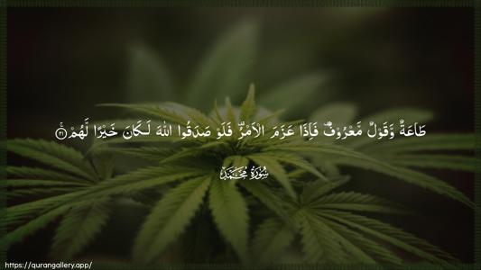 Muhammad Ayah 21 - Arabic (Wide) wallpaper