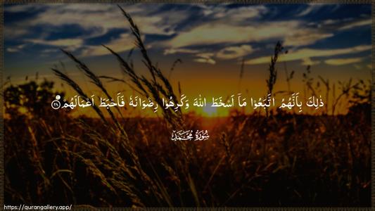 Muhammad Ayah 28 - Arabic (Wide) wallpaper