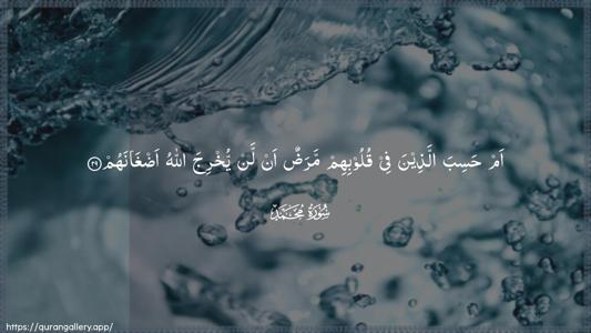 Muhammad Ayah 29 - Arabic (Wide) wallpaper