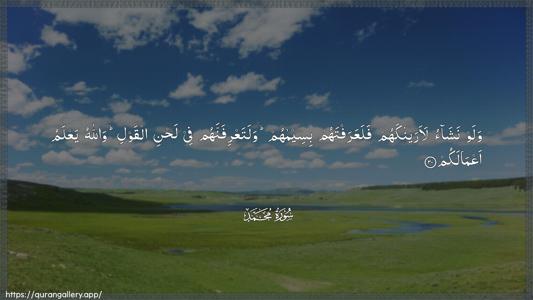 Muhammad Ayah 30 - Arabic (Wide) wallpaper
