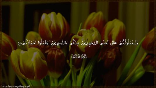Muhammad Ayah 31 - Arabic (Wide) wallpaper