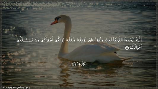 Muhammad Ayah 36 - Arabic (Wide) wallpaper