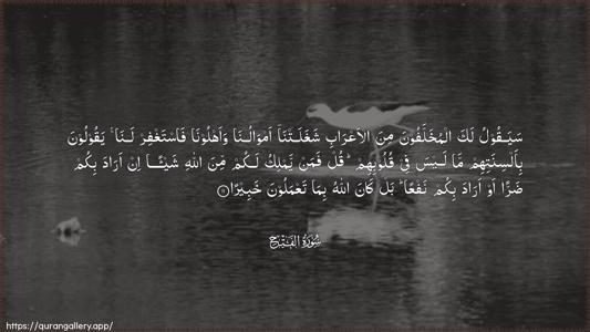Al-Fath Ayah 11 - Arabic (Wide) wallpaper