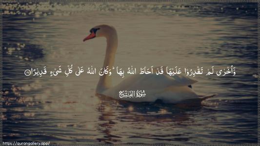 Al-Fath Ayah 21 - Arabic (Wide) wallpaper