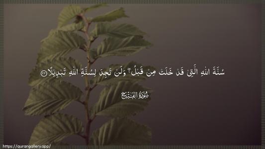Al-Fath Ayah 23 - Arabic (Wide) wallpaper