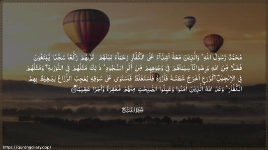 Al-Fath Ayah 29 - Arabic (Wide) wallpaper