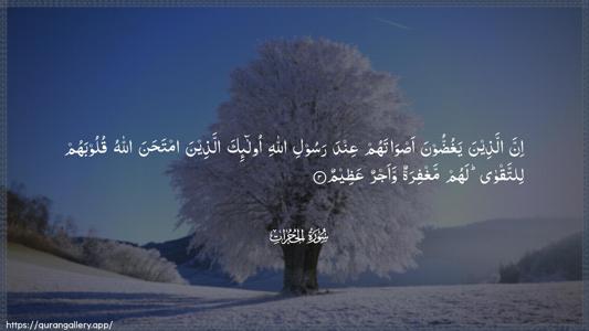Al-Hujuraat Ayah 3 - Arabic (Wide) wallpaper