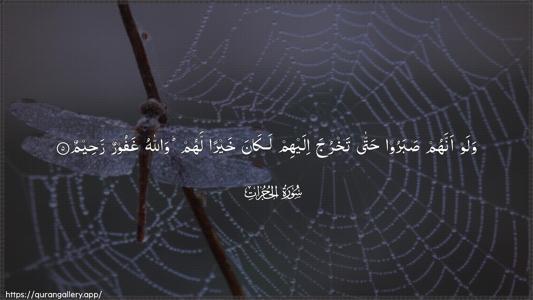 Al-Hujuraat Ayah 5 - Arabic (Wide) wallpaper