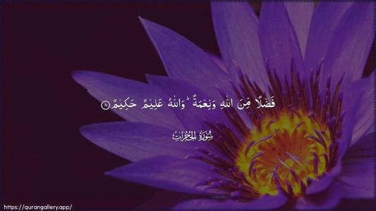Al-Hujuraat Ayah 8 - Arabic (Wide) wallpaper