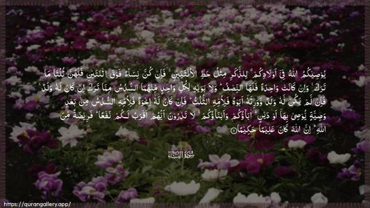 An-Nisaa Ayah 11 - Arabic (Wide) wallpaper