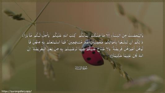 An-Nisaa Ayah 24 - Arabic (Wide) wallpaper