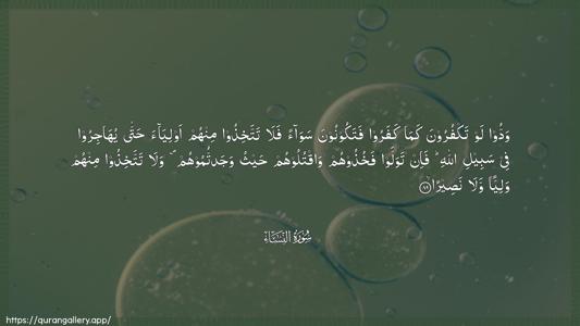 An-Nisaa Ayah 89 - Arabic (Wide) wallpaper