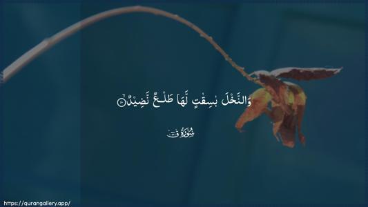 Qaaf Ayah 10 - Arabic (Wide) wallpaper
