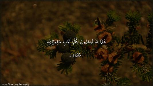 Qaaf Ayah 32 - Arabic (Wide) wallpaper