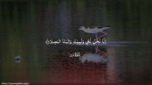 Qaaf Ayah 43 - Arabic (Wide) wallpaper