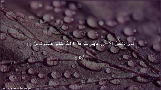 Qaaf Ayah 44 - Arabic (Wide) wallpaper